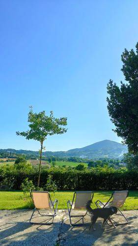 Photo of Others in Caiazzo