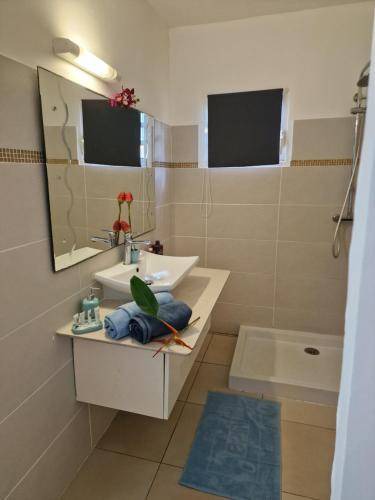 Photo of Bathroom in Saint-Claude