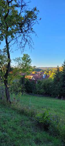 Photo of Others in Helmsdorf