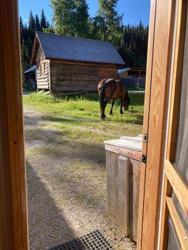 Photo of Others in Barkerville