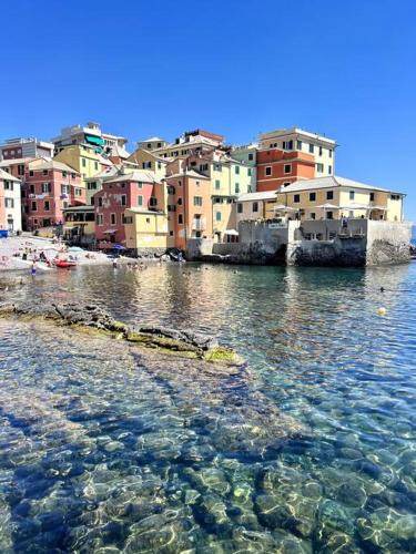 Photo of Others in Boccadasse
