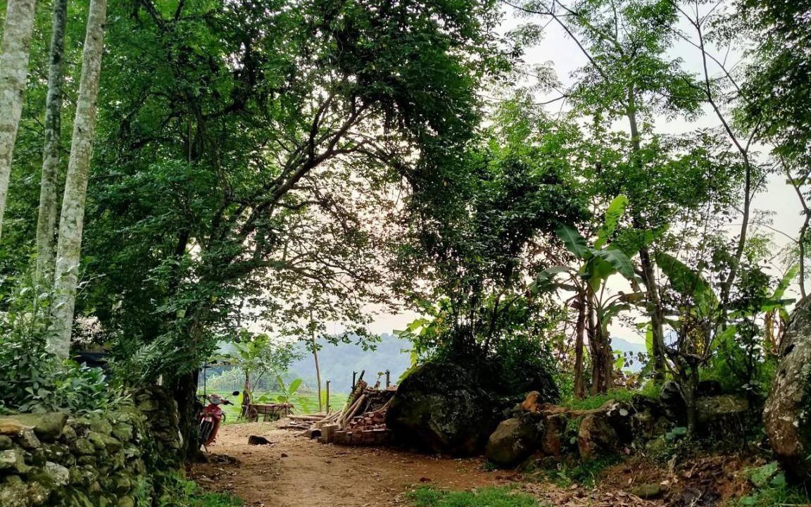 Photo of Others in Kho Muong