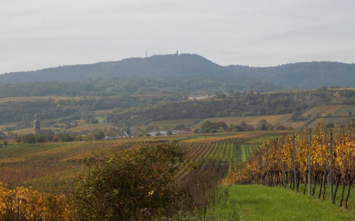 Photo of Others in Freinsheim