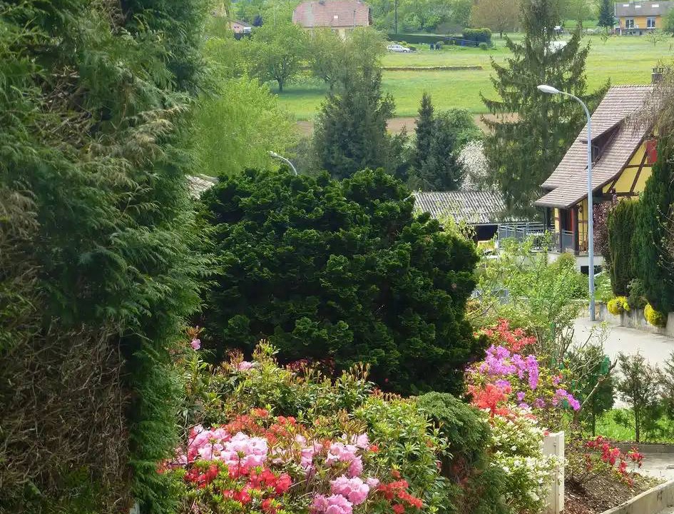 Photo of Others in Raedersdorf