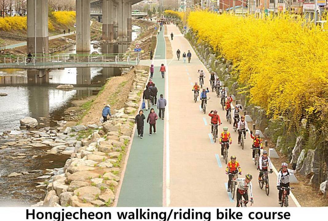 Photo of Others in Namgajwa-dong