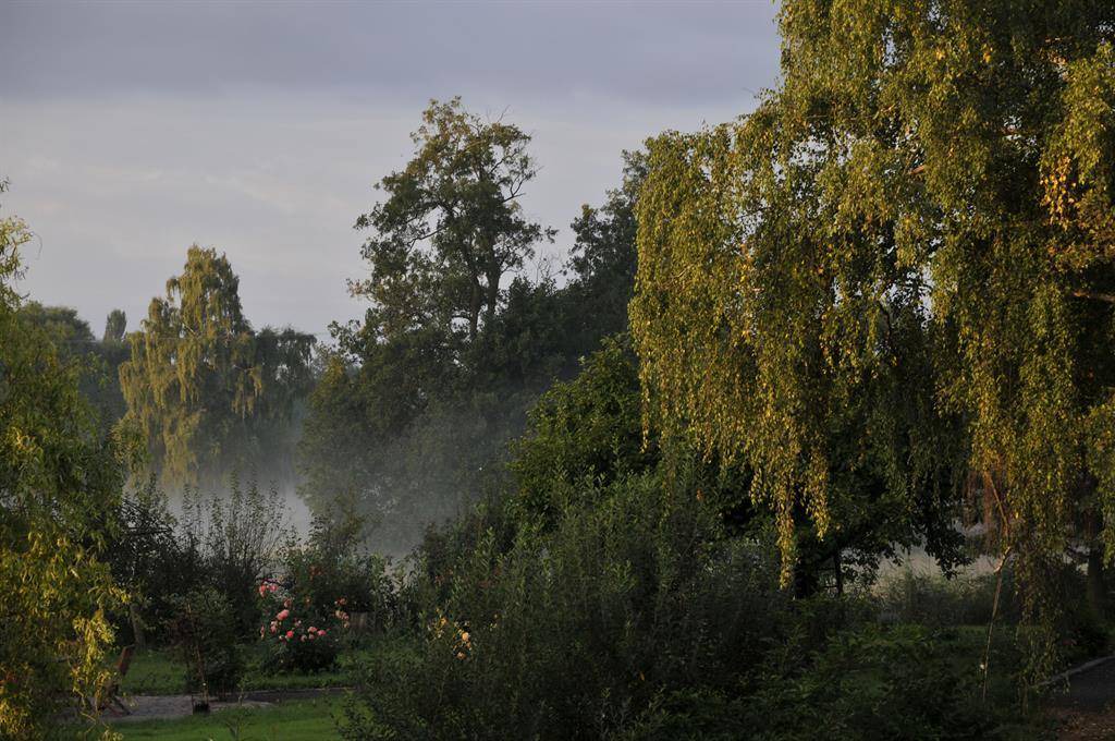 Photo of Others in Buchlberg