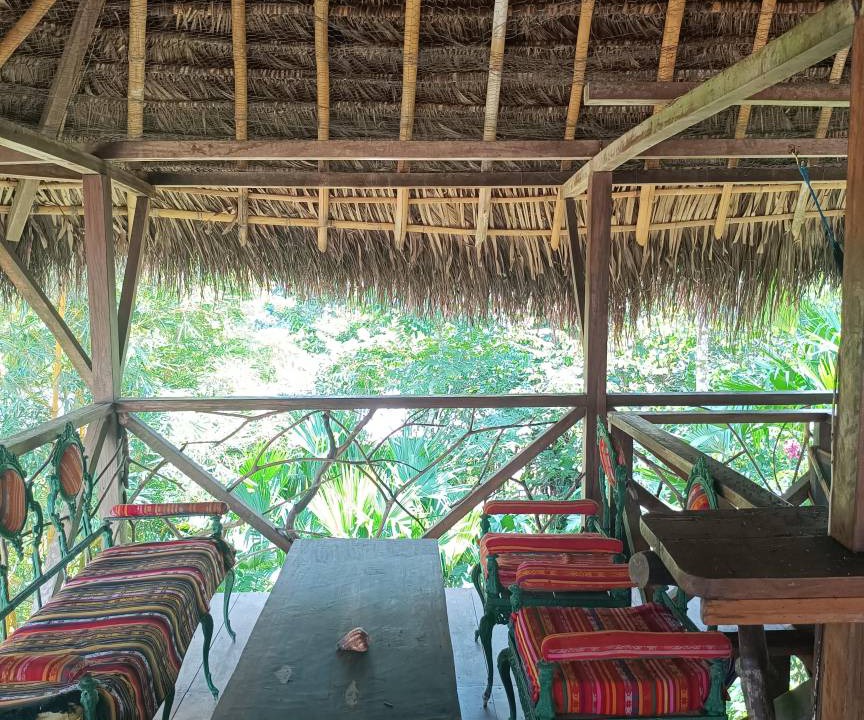 Photo of Others in Puerto Misahualli