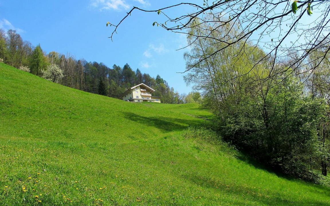 Photo of Others in Goldegg