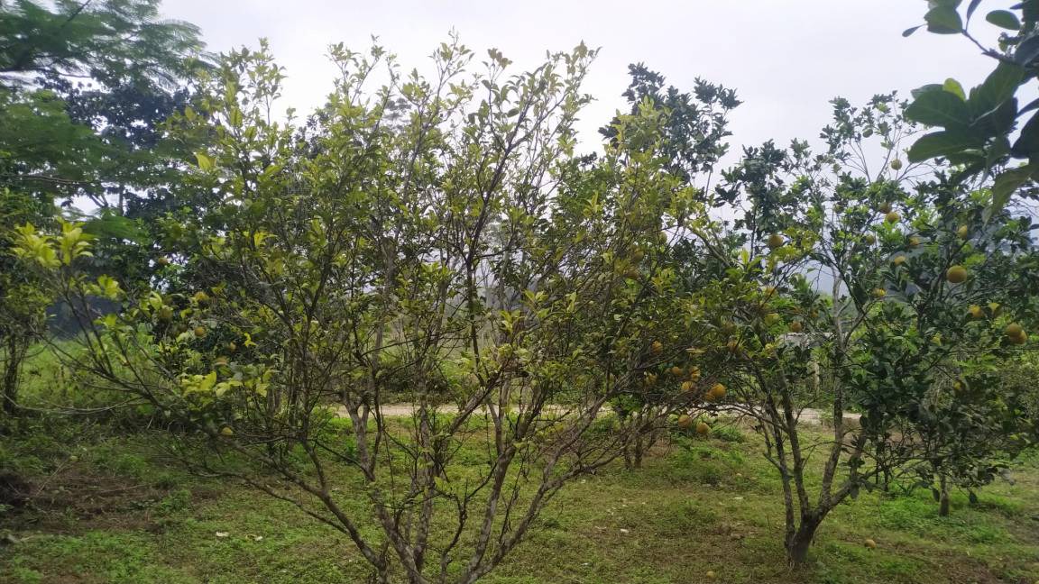Photo of Outdoor in Tan Lac