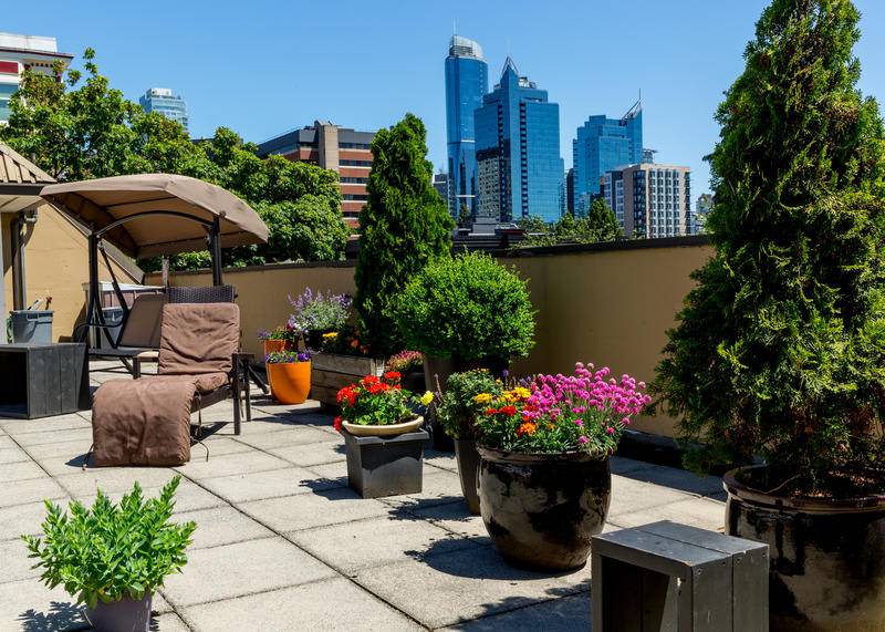 Photo of Patio Balcony in Davie Village