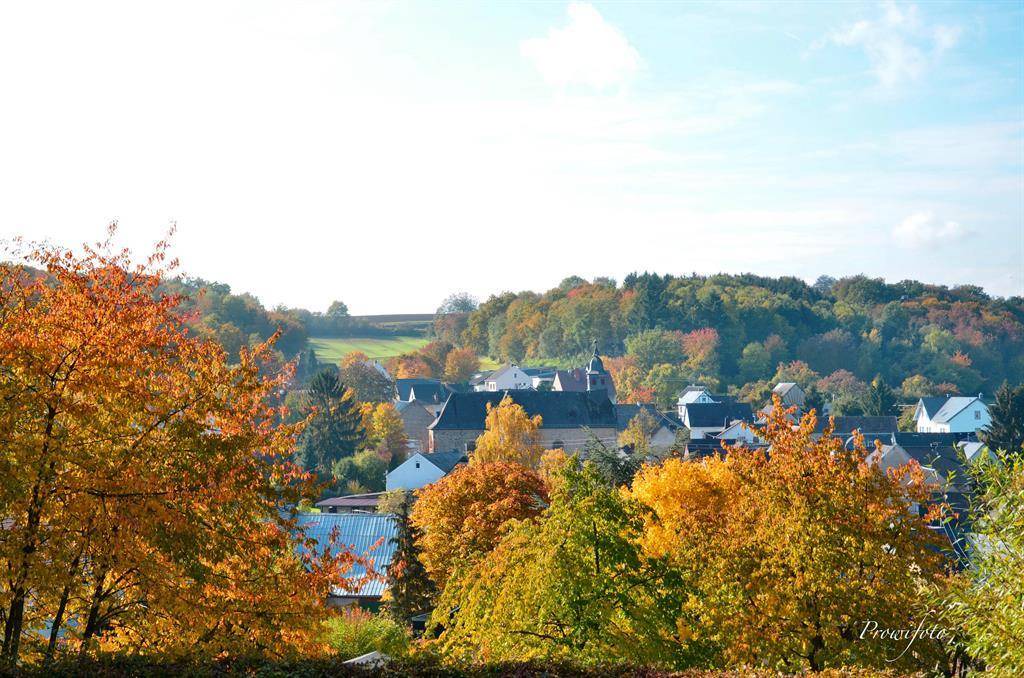 Photo of Others in Kalt