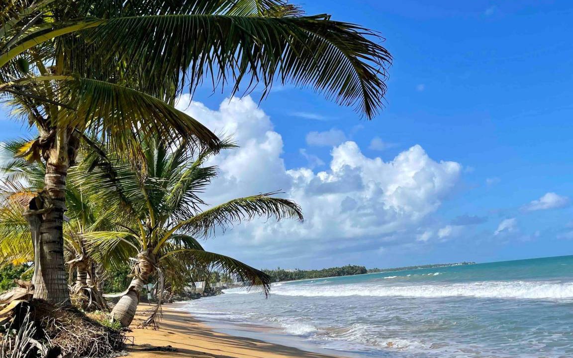 Photo of Others in Playa Fortuna