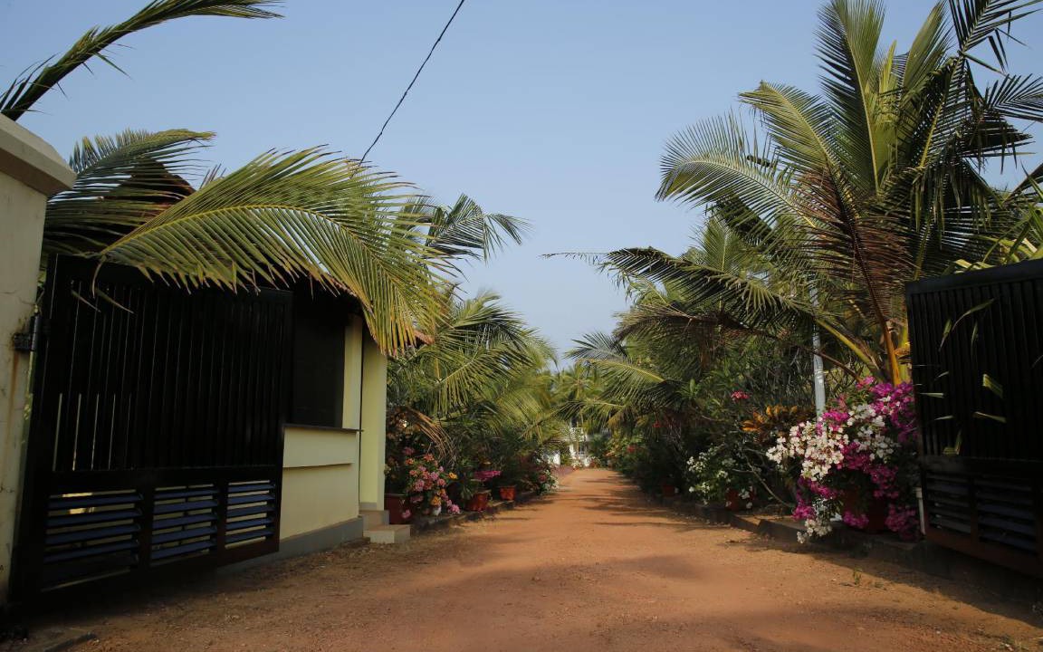 Photo of Others in Kannur