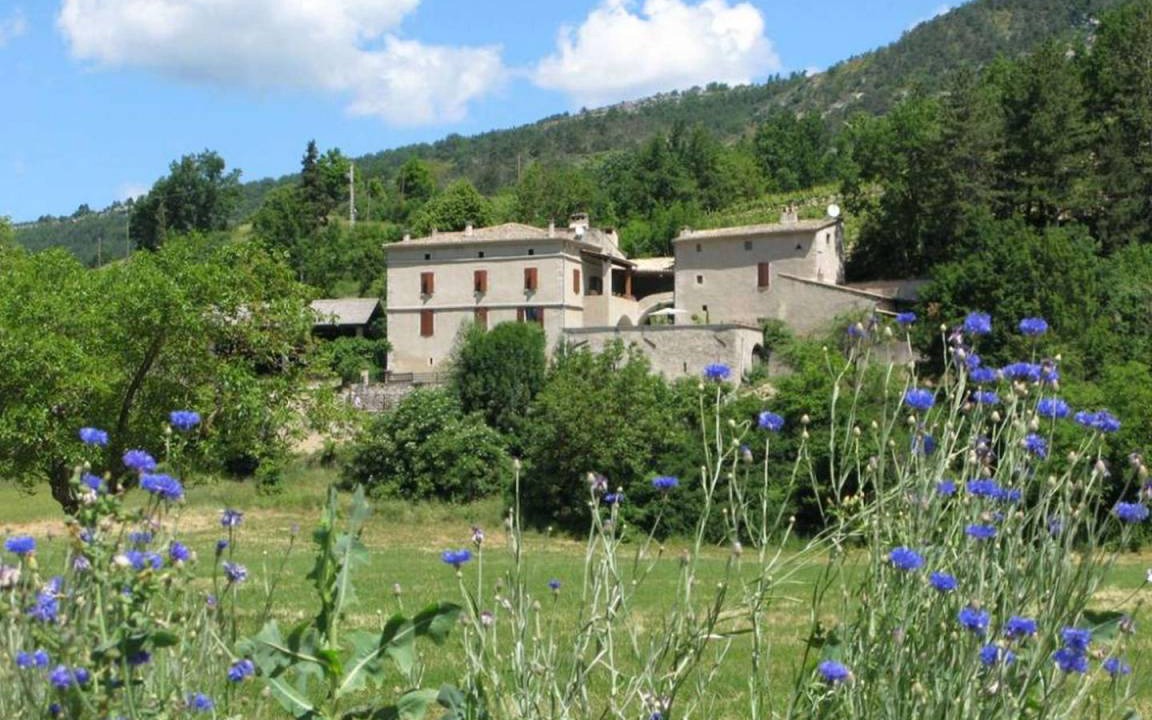 Photo of Others in Drome
