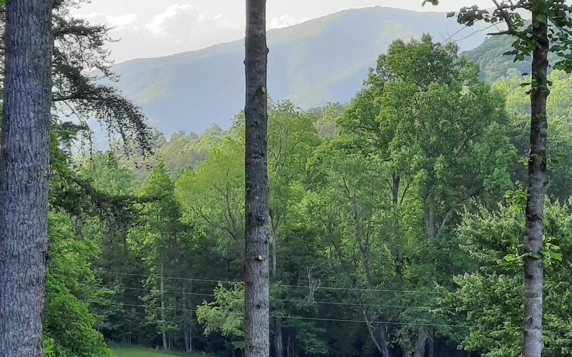 Photo of Others in Hayesville