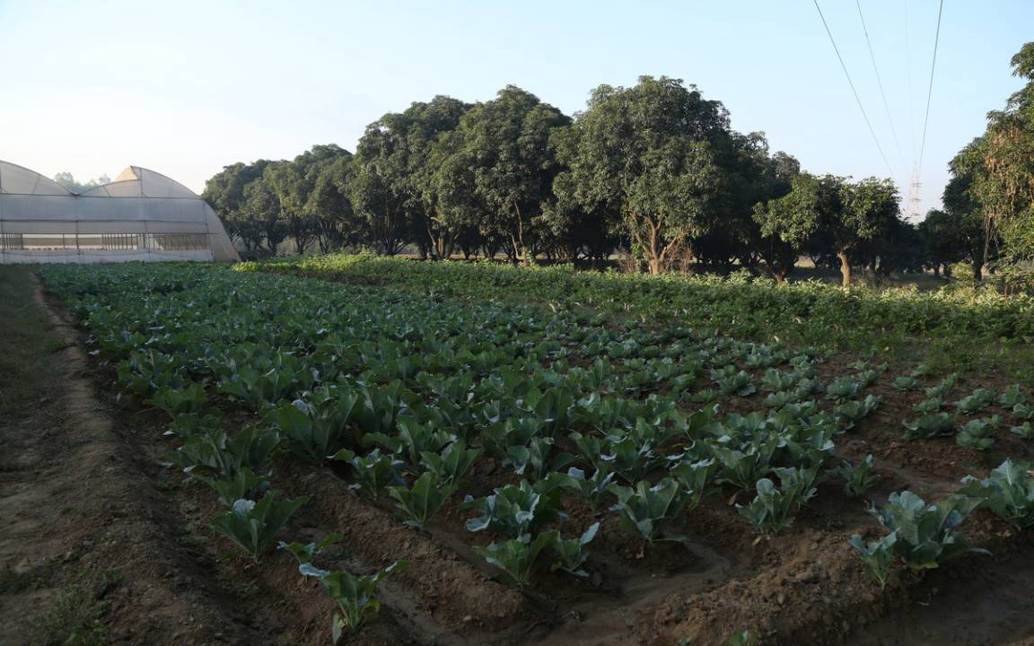 Photo of Outdoor in Hoshiarpur
