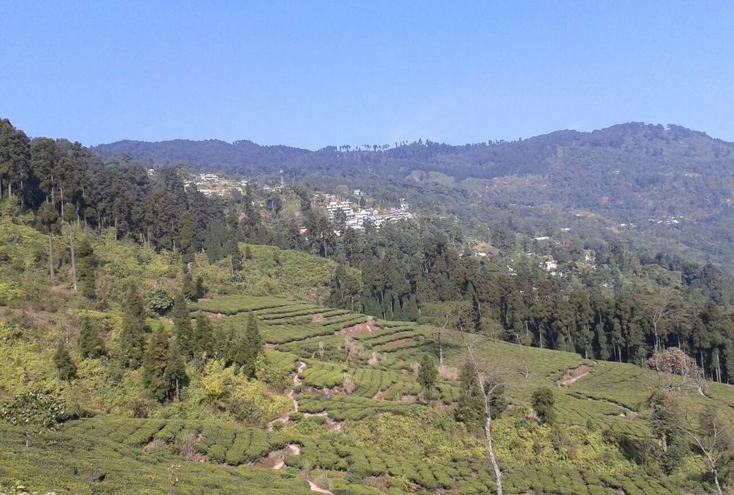 Photo of Others in Turuk