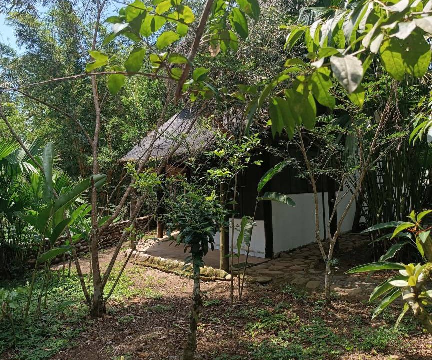 Photo of Others in Puerto Misahualli