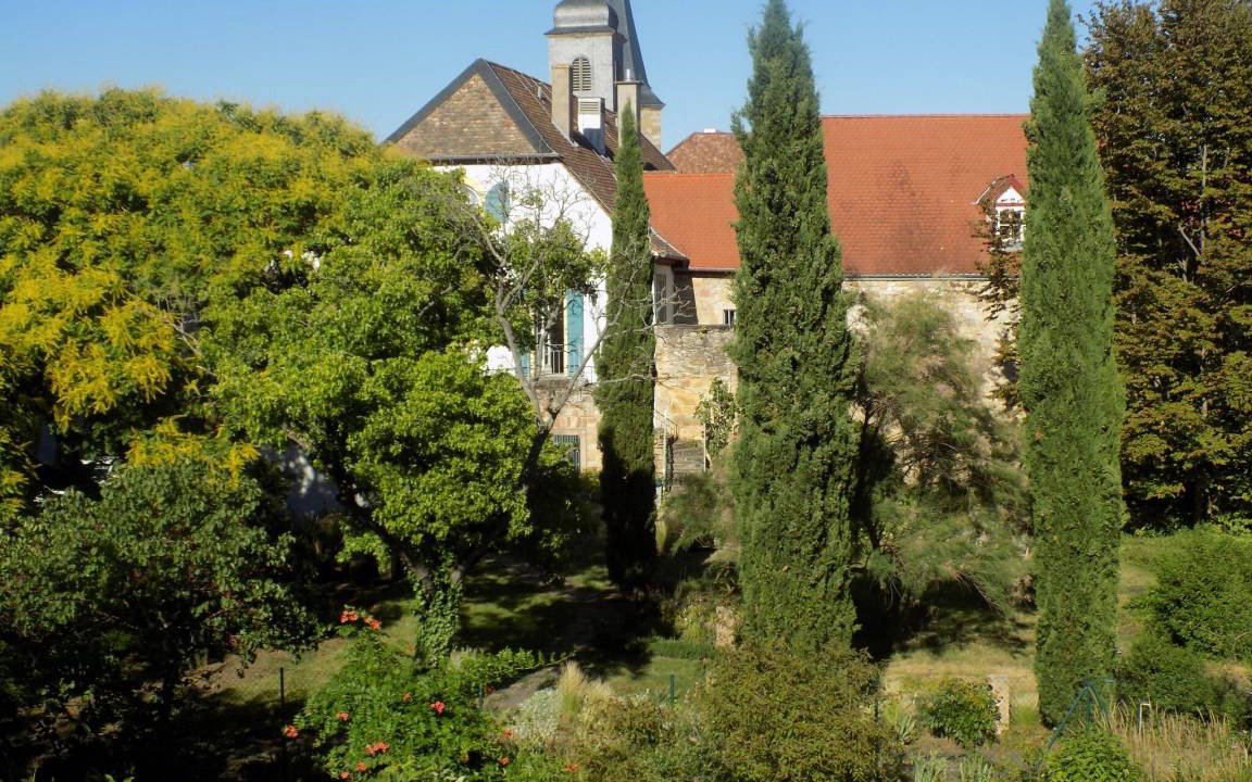 Photo of Others in Freinsheim