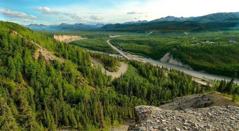 Photo of Others in Denali National Park