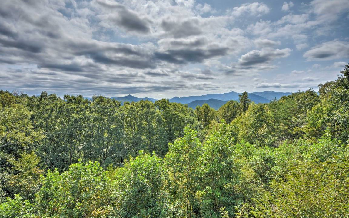 Photo of Others in Hiawassee