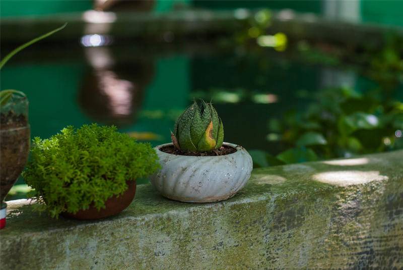 Photo of Others in Huong Thuy