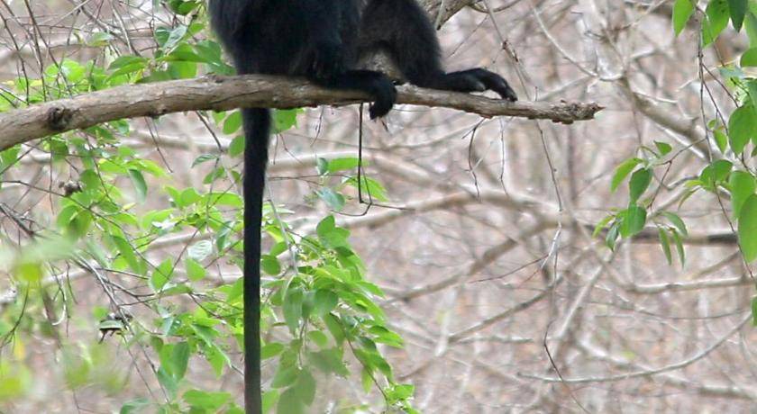 Photo of Others in Pejarakan