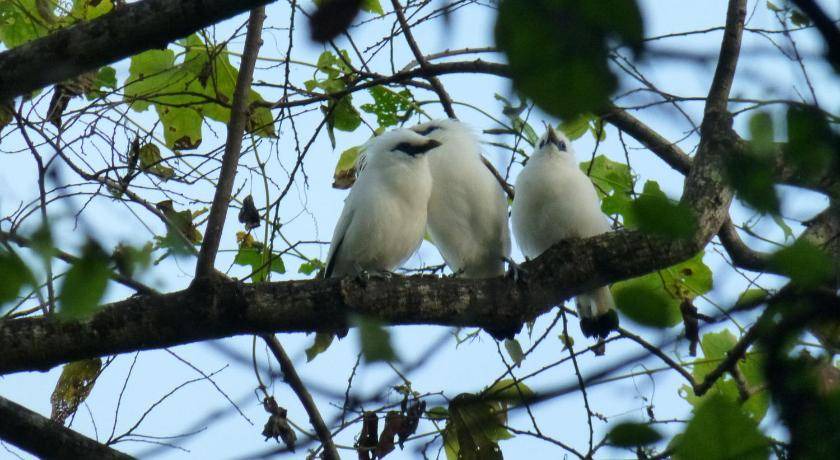 Photo of Others in Pejarakan