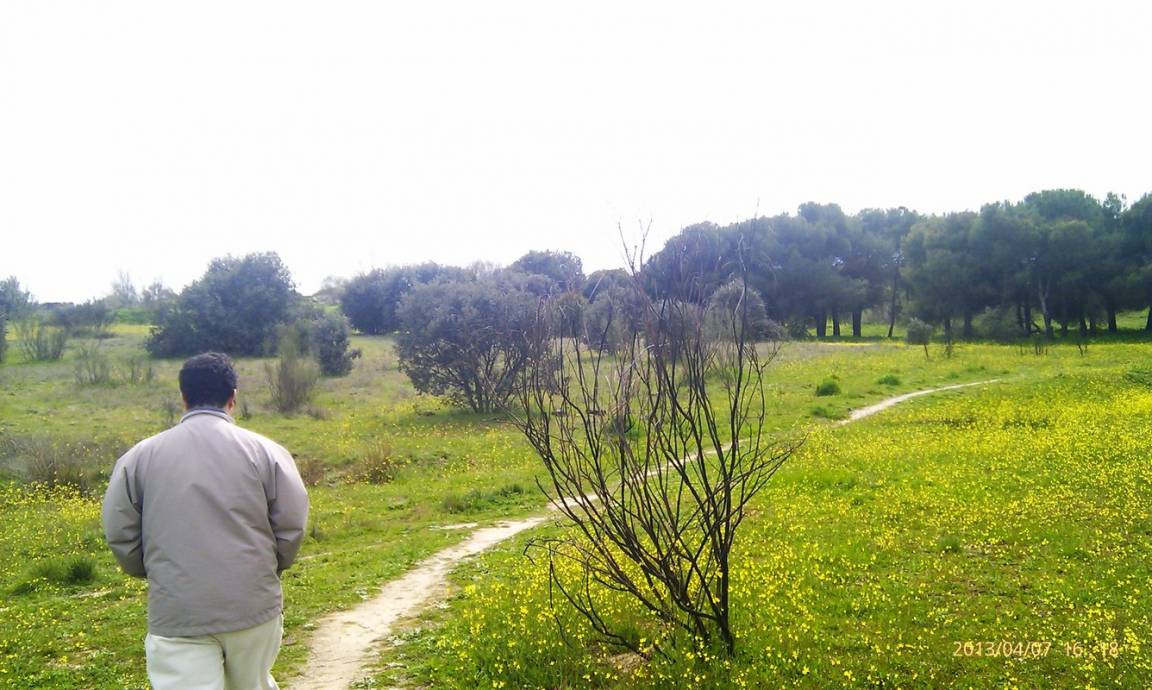 Photo of Others in Pozuelo de Alarcon