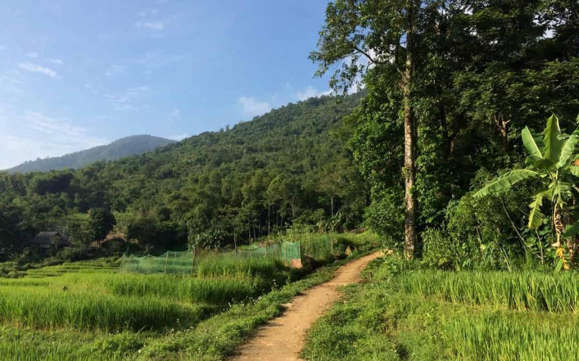 Photo of Others in Kho Muong