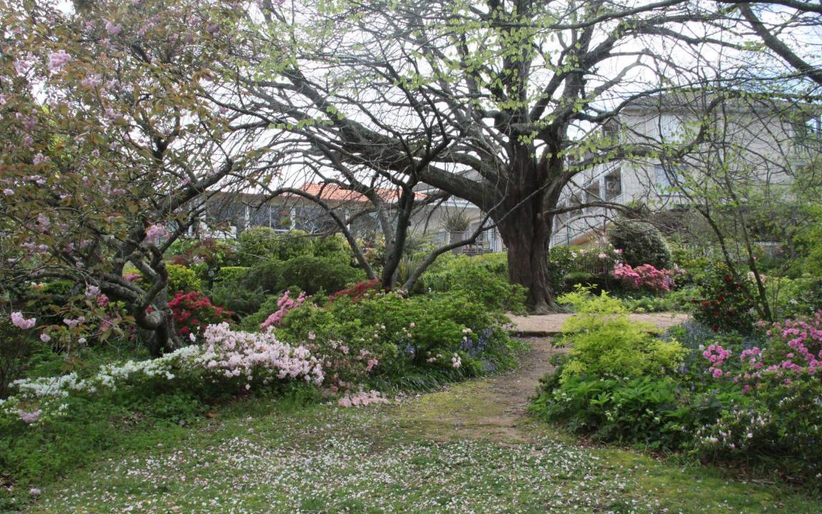 Photo of Others in Leura