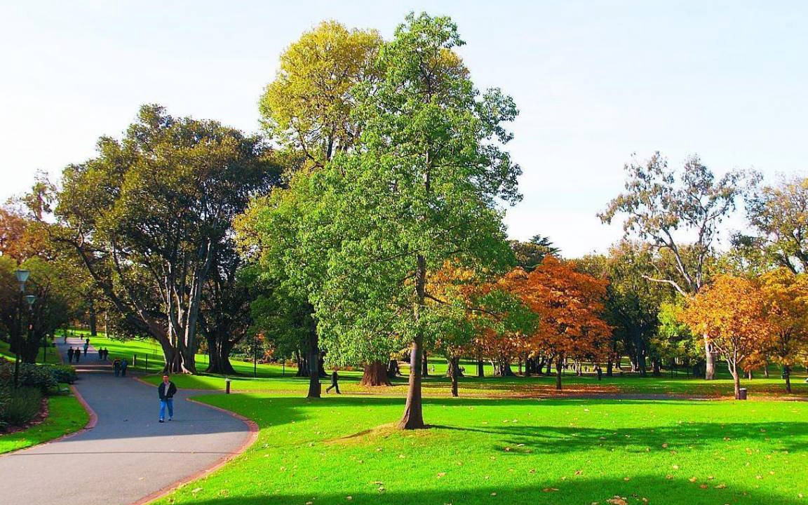 Photo of Others in East Melbourne