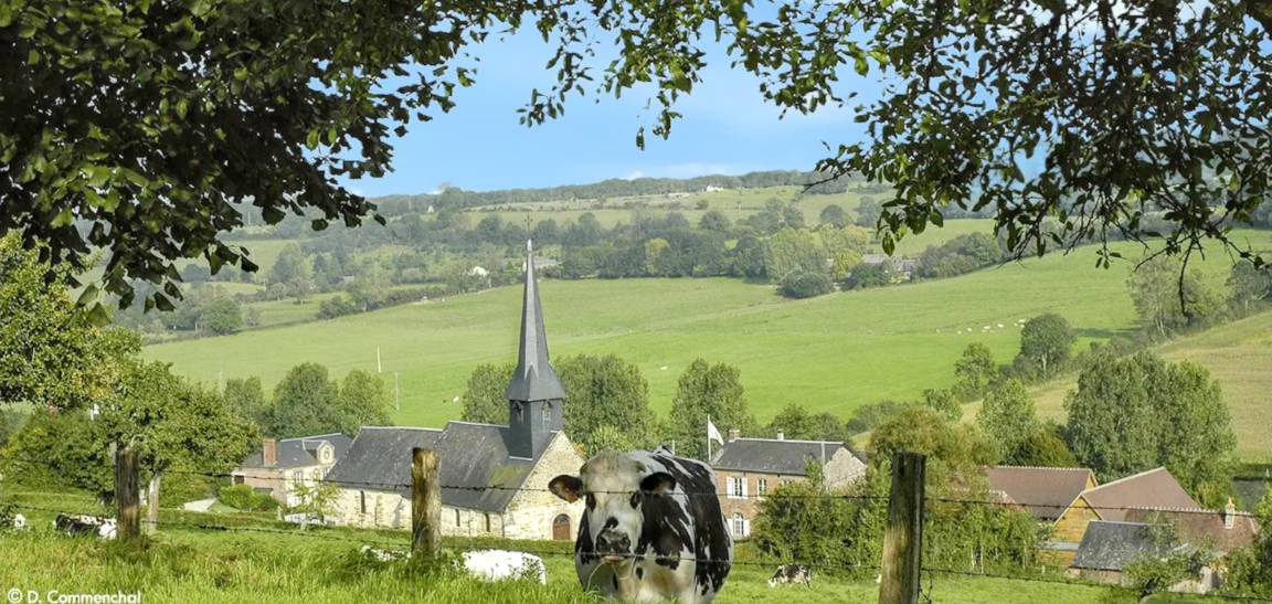 Photo of Others in Camembert
