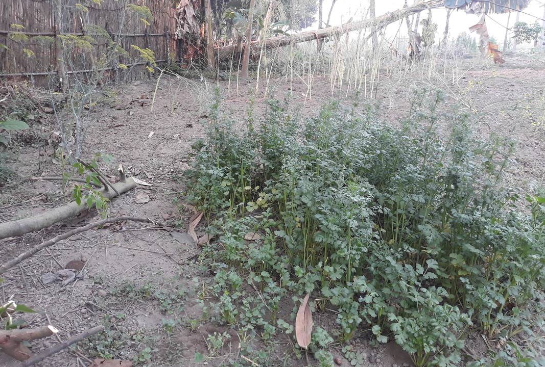 Photo of Others in Namarjung