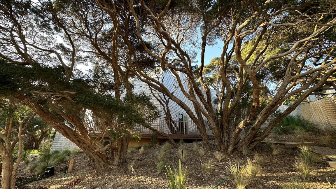 Photo of Others in Portsea