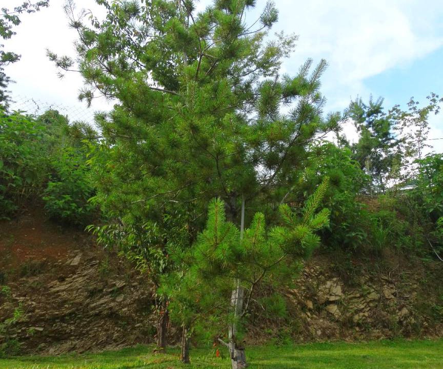 Photo of Outdoor in Ren'ai
