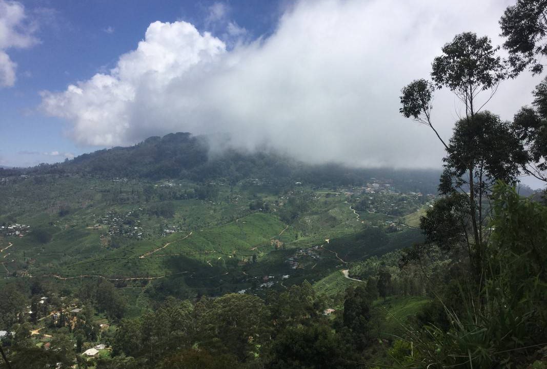 Photo of Others in Haputale