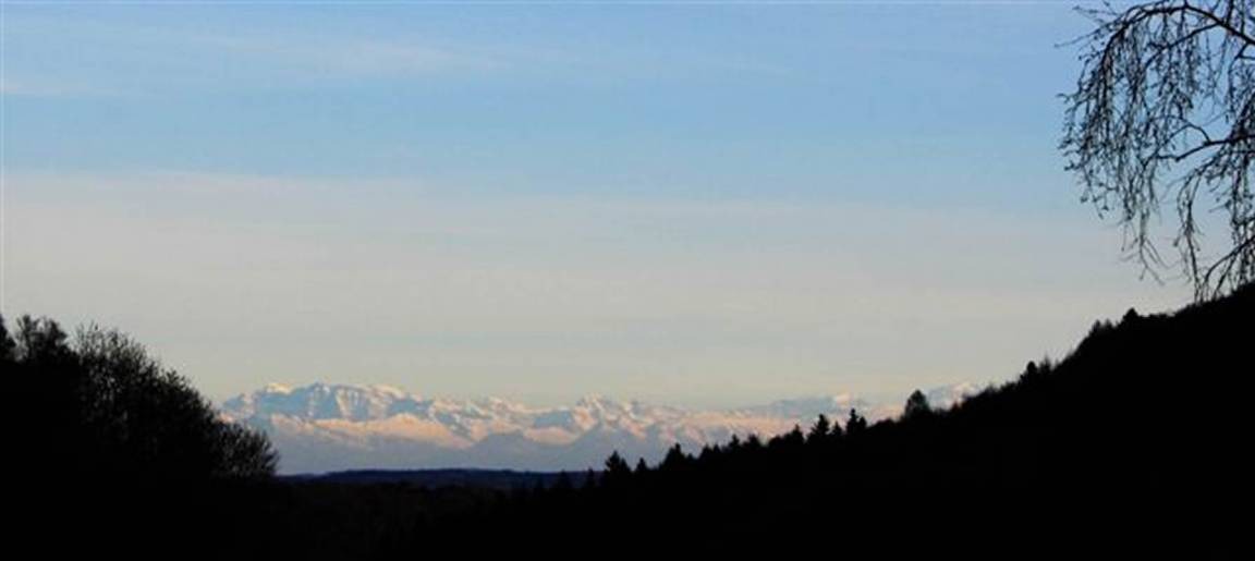 Photo of Others in Wutach