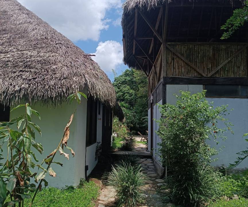 Photo of Others in Puerto Misahualli