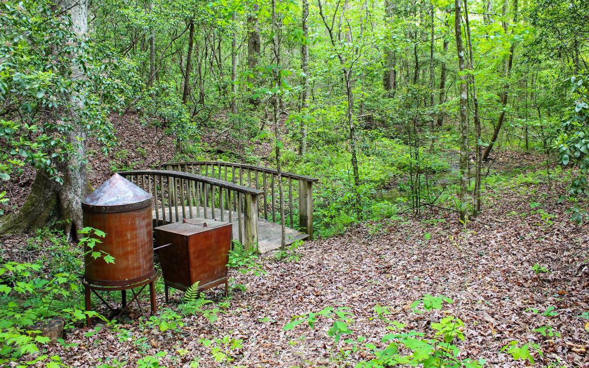 Photo of Others in Sautee Nacoochee
