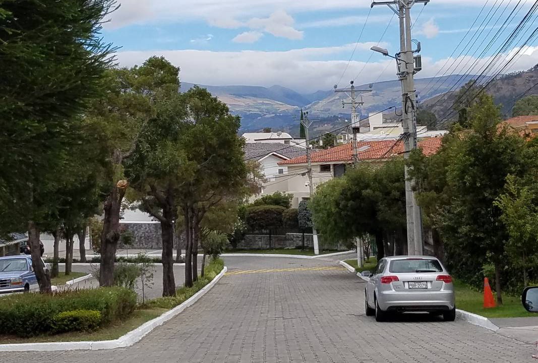 Photo of Others in Pasochoa