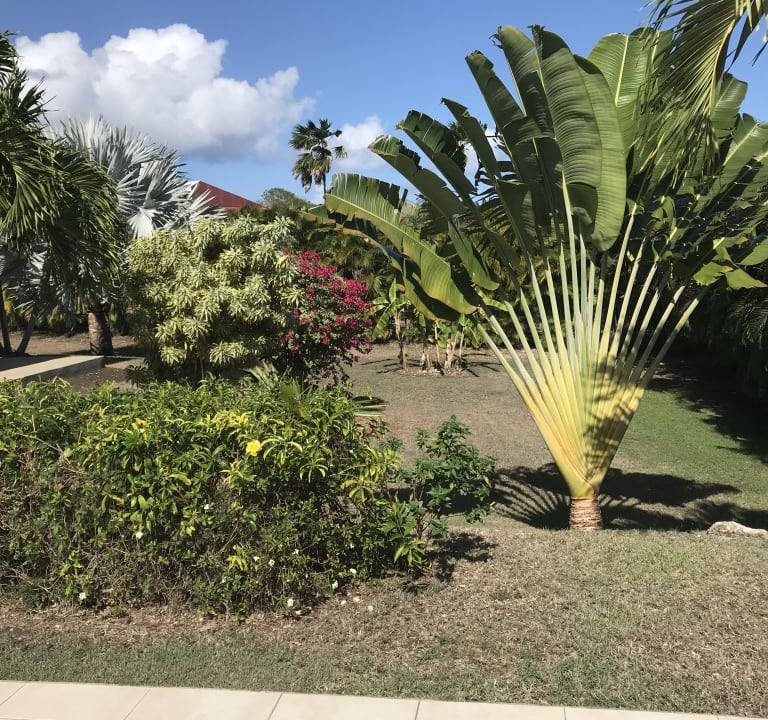 Photo of Outdoor in Anse des Rochers