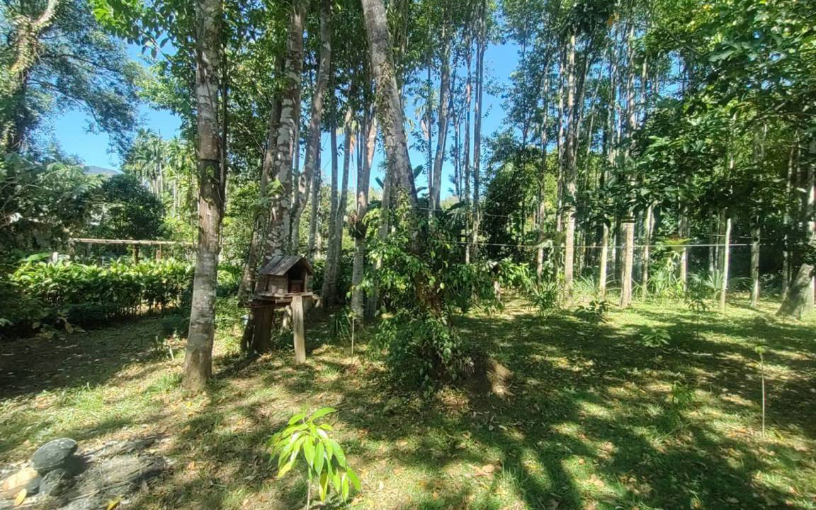 Photo of Others in Koh Chang Tai
