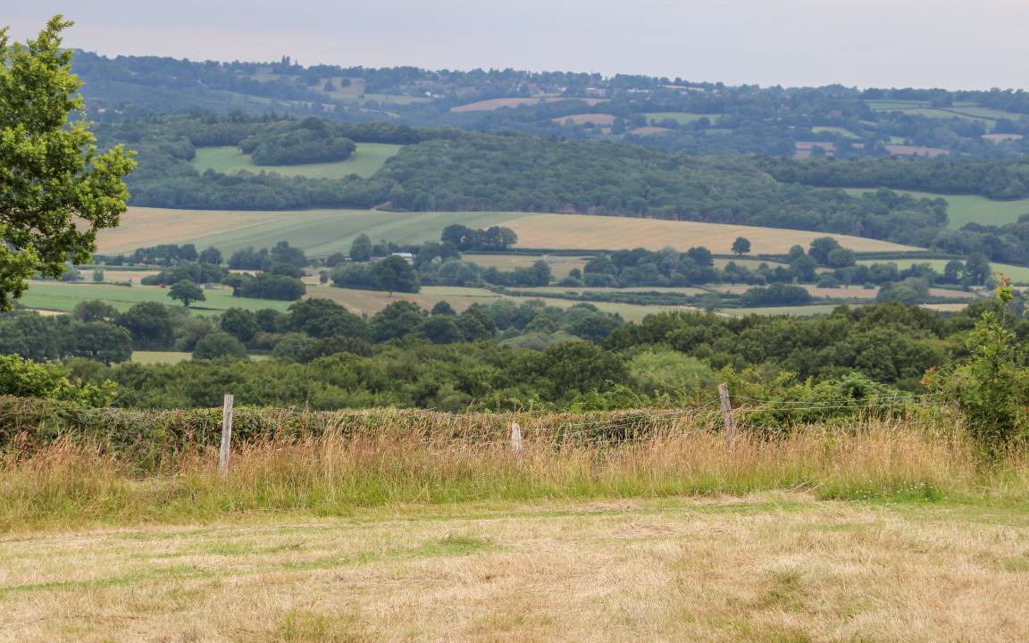 Photo of Others in Heathfield