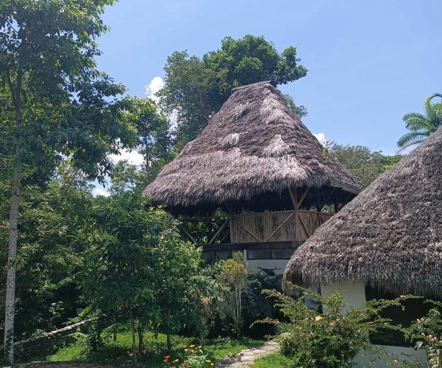 Photo of Others in Puerto Misahualli