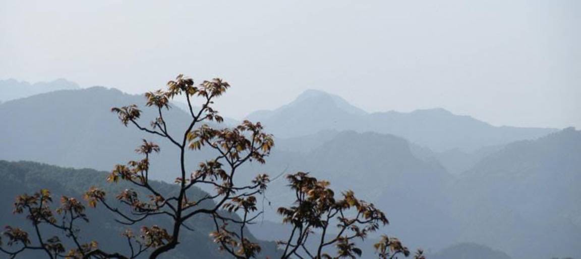 Photo of Others in Tehri