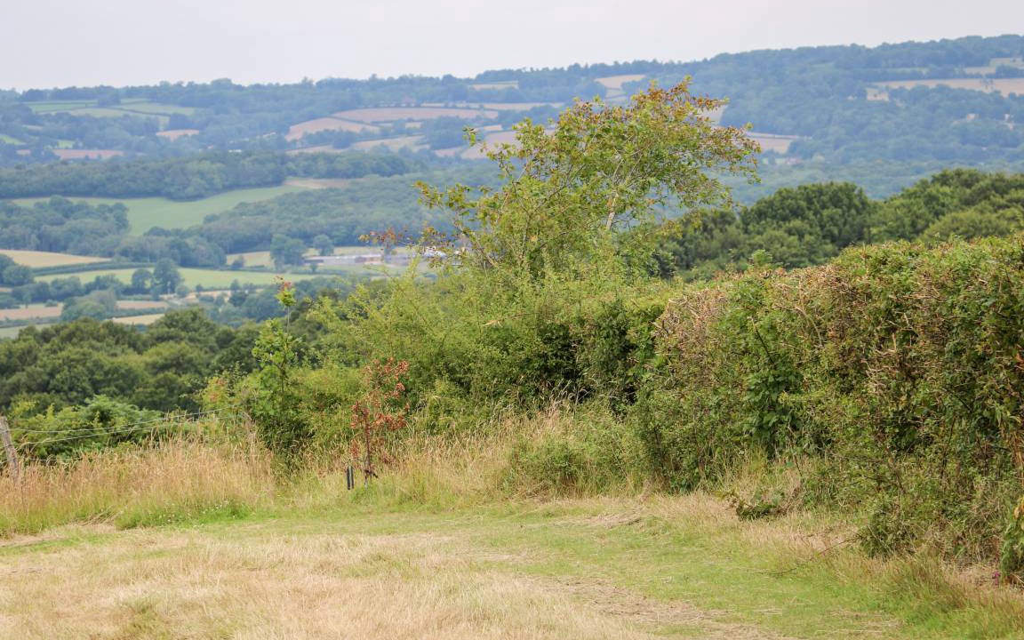 Photo of Others in Heathfield