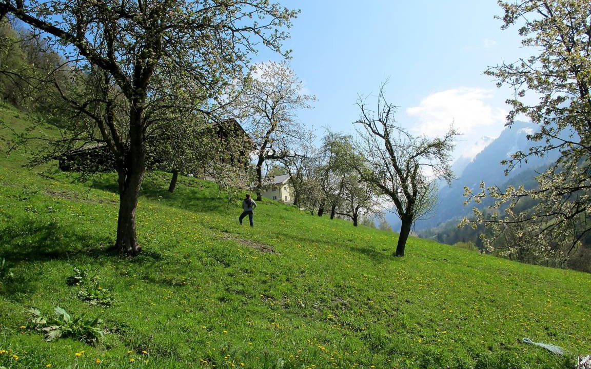 Photo of Others in Goldegg