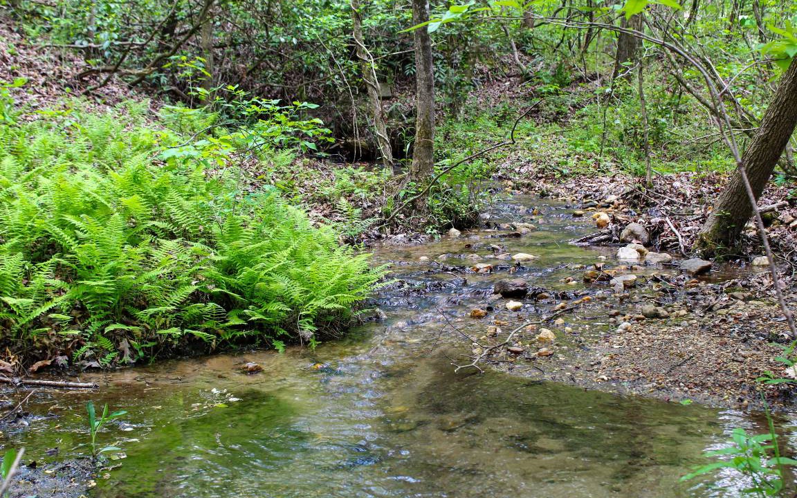 Photo of Others in Sautee Nacoochee