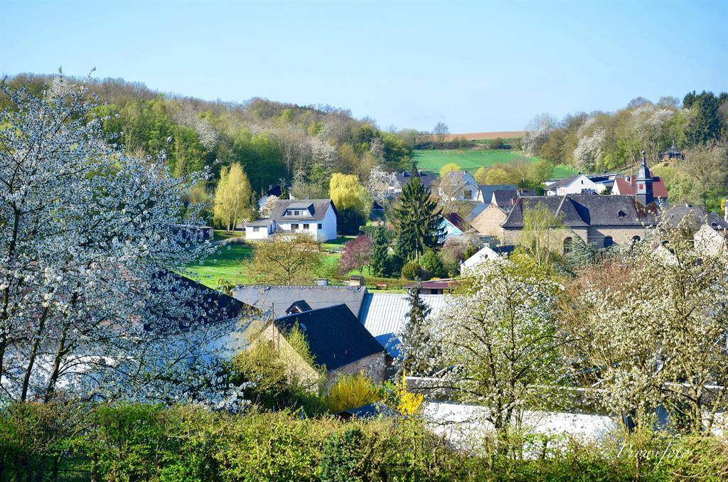 Photo of Others in Kalt